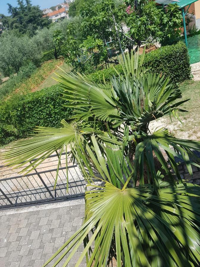 Apartment Mit Balkon Porec Ngoại thất bức ảnh